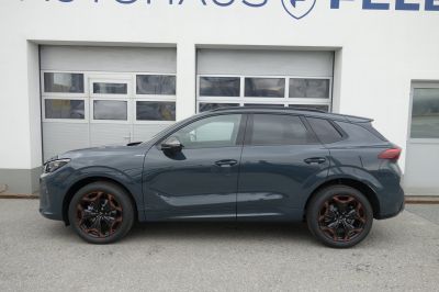 Cupra Terramar Gebrauchtwagen Cupra Terramar Gebrauchtwagen