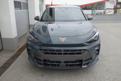 Cupra Terramar Gebrauchtwagen Cupra Terramar Gebrauchtwagen