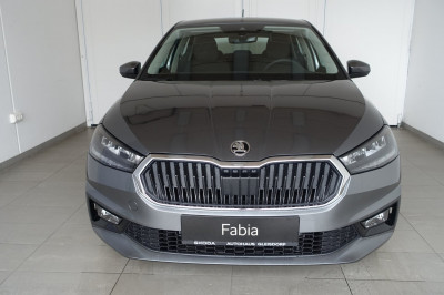 Skoda Fabia Gebrauchtwagen