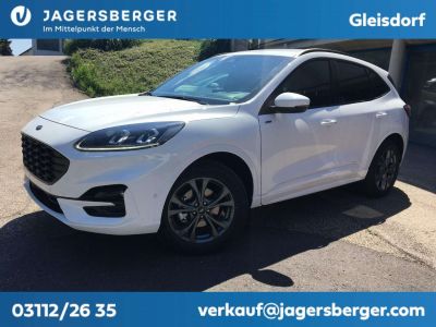 Ford Kuga Vorführwagen