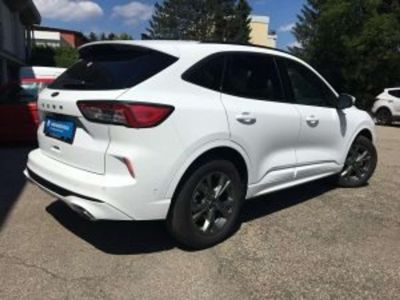 Ford Kuga Vorführwagen