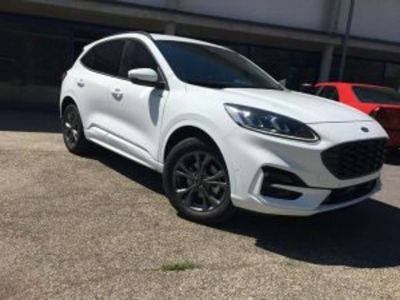 Ford Kuga Vorführwagen