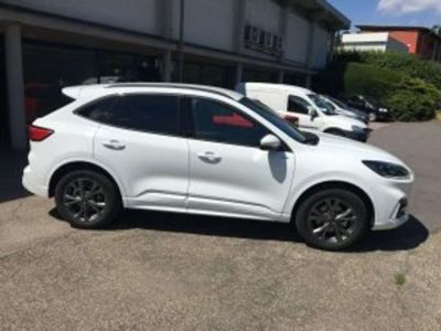 Ford Kuga Vorführwagen