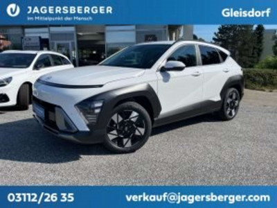 Hyundai Kona Tageszulassung