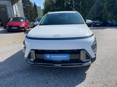 Hyundai Kona Tageszulassung