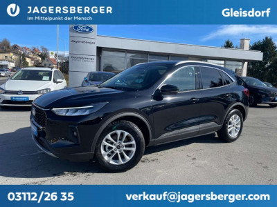 Ford Kuga Vorführwagen