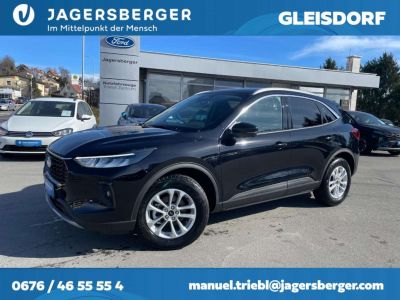 Ford Kuga Vorführwagen
