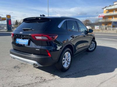 Ford Kuga Vorführwagen