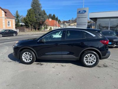 Ford Kuga Vorführwagen