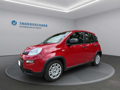 Fiat Panda Gebrauchtwagen
