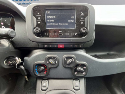 Fiat Panda Gebrauchtwagen
