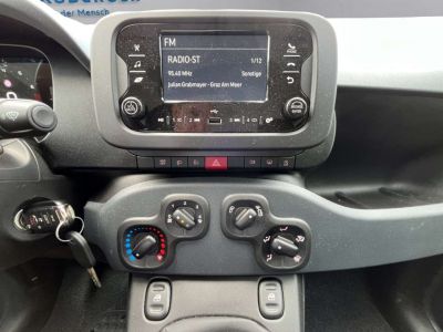 Fiat Panda Gebrauchtwagen