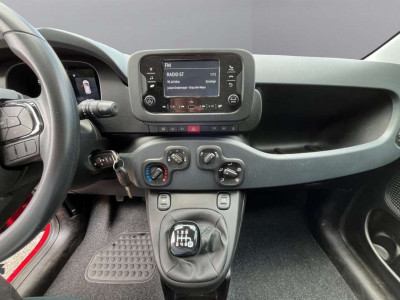 Fiat Panda Gebrauchtwagen