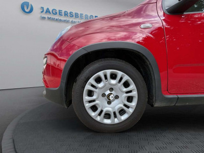 Fiat Panda Gebrauchtwagen