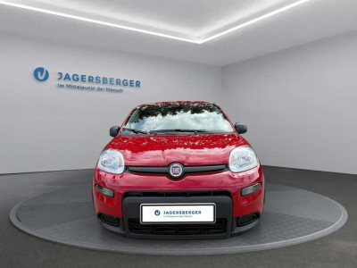 Fiat Panda Gebrauchtwagen