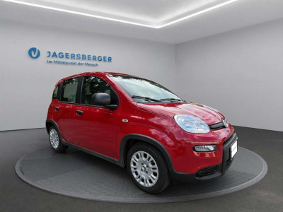 Fiat Panda Gebrauchtwagen