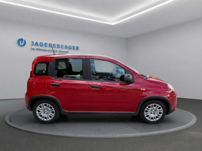 Fiat Panda Gebrauchtwagen