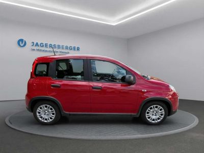 Fiat Panda Gebrauchtwagen