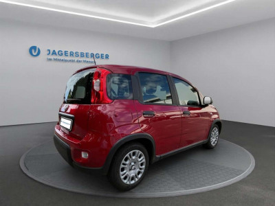 Fiat Panda Gebrauchtwagen