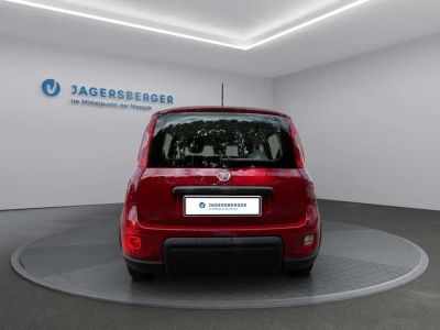 Fiat Panda Gebrauchtwagen