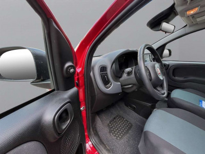 Fiat Panda Gebrauchtwagen