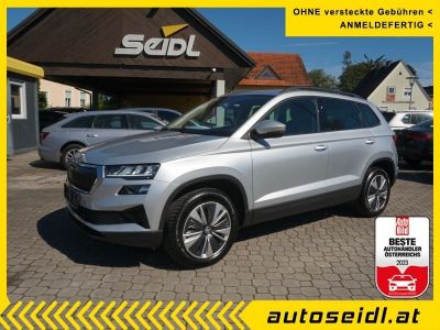 Skoda Karoq Gebrauchtwagen