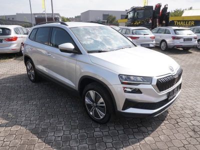 Skoda Karoq Gebrauchtwagen