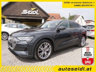 Audi Q8 e-tron Gebrauchtwagen