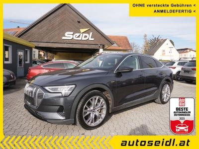 Audi Q8 e-tron Gebrauchtwagen