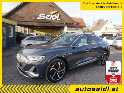 Audi Q8 e-tron Gebrauchtwagen