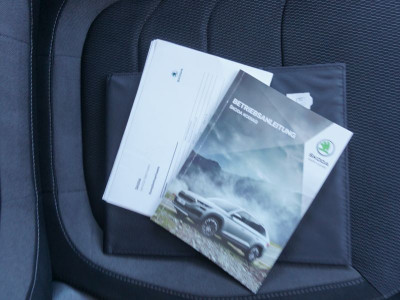 Skoda Kodiaq Gebrauchtwagen