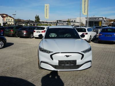 Ford Mustang Mach-E Gebrauchtwagen