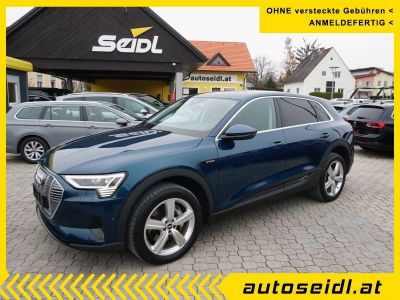 Audi Q8 e-tron Gebrauchtwagen