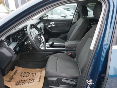 Audi Q8 e-tron Gebrauchtwagen