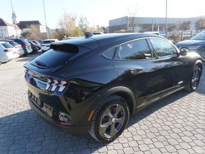 Ford Mustang Mach-E Gebrauchtwagen