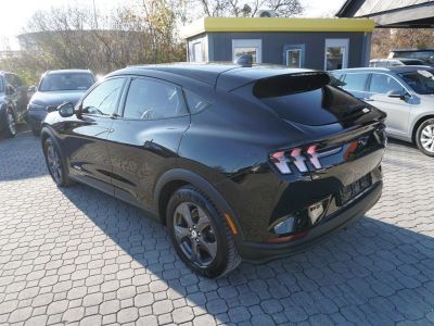 Ford Mustang Mach-E Gebrauchtwagen