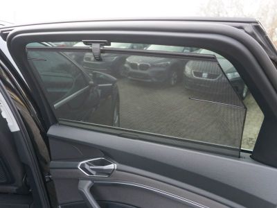 Audi Q8 e-tron Gebrauchtwagen