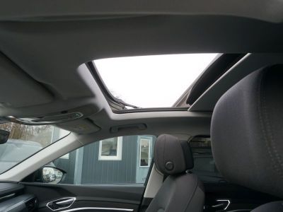 Audi Q8 e-tron Gebrauchtwagen