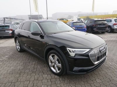 Audi Q8 e-tron Gebrauchtwagen