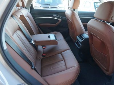 Audi Q8 e-tron Gebrauchtwagen