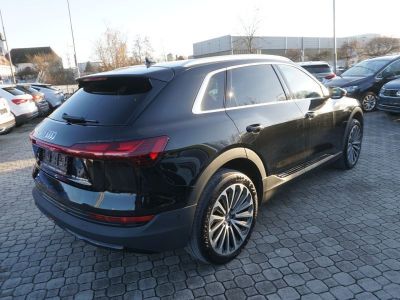 Audi Q8 e-tron Gebrauchtwagen