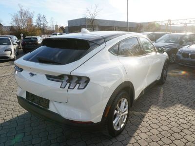 Ford Mustang Mach-E Gebrauchtwagen