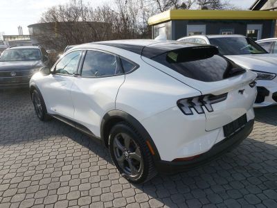 Ford Mustang Mach-E Gebrauchtwagen