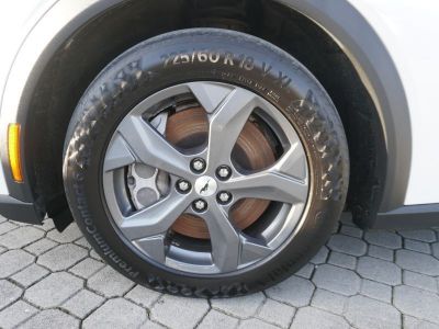 Ford Mustang Mach-E Gebrauchtwagen