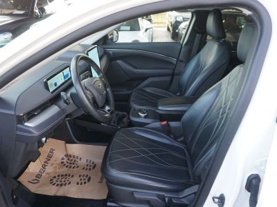 Ford Mustang Mach-E Gebrauchtwagen