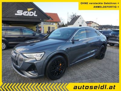 Audi Q8 e-tron Gebrauchtwagen