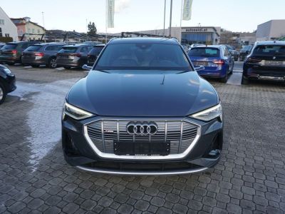Audi Q8 e-tron Gebrauchtwagen