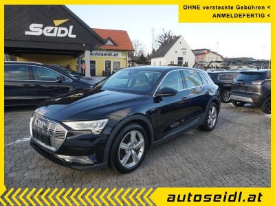 Audi Q8 e-tron Gebrauchtwagen