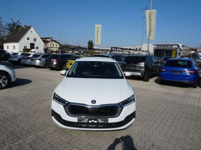 Skoda Octavia Gebrauchtwagen
