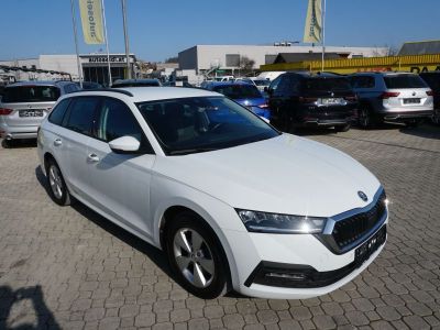 Skoda Octavia Gebrauchtwagen